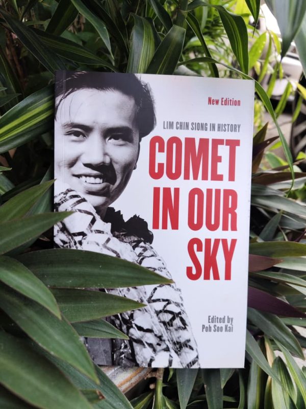 comet in our sky front cover